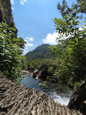 a river with trees and a mountain in the background at Riverside in Virpazar