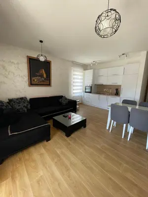 a living room with a black couch and a table at Anja Lux Apartman in Budva