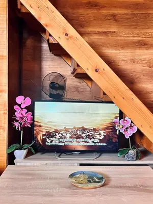 a tv on a shelf in a room with flowers at Kućica Vjera Ada Bojana in Ulcinj