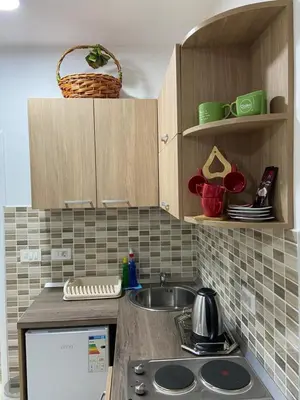 a kitchen with a sink and a counter top at Kotor Apartman Green Sailor in Kotor