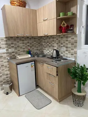a small kitchen with a sink and a refrigerator at Kotor Apartman Green Sailor in Kotor