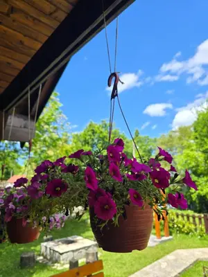 two pots of flowers hanging from a porch at Cabin House Dubovik in Cetinje