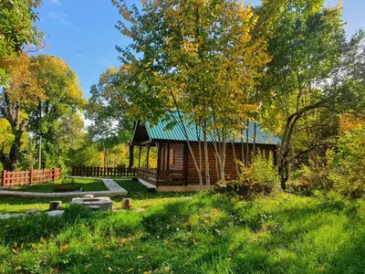 a small cabin in a park with a green roof at Cabin House Dubovik in Cetinje