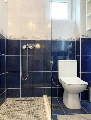 a bathroom with a toilet and a shower at Laurel Apartments in Bar