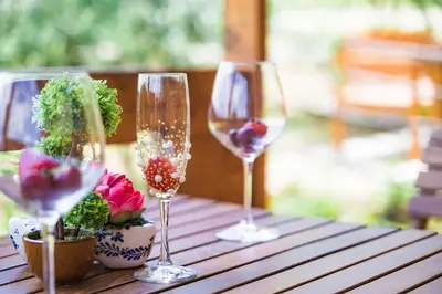 two wine glasses sitting on a wooden table with plants at Madre Natura Glamping in Ulcinj
