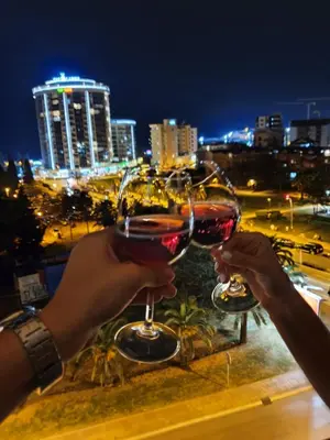 two people holding glasses of wine overlooking a city at Lux Panorama in Budva