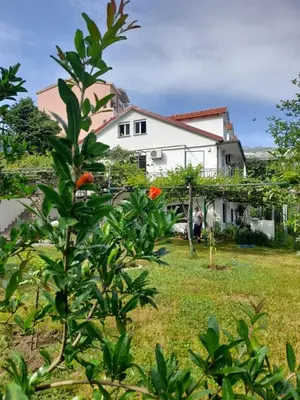a white house with a yard with a bush at Apartments Marina in Becici