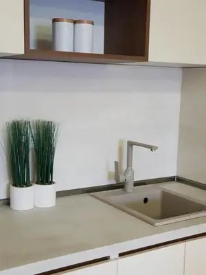 a kitchen counter with a sink and two potted plants at Apartman VIVO city central in Podgorica