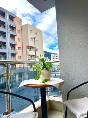 a plant sitting on a table on a balcony at Ada apartman in Budva