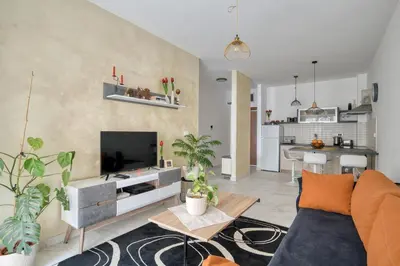 a living room with a couch and a tv at Ada apartman in Budva