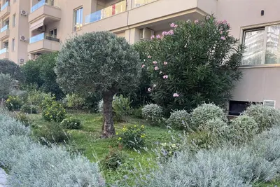 a garden with a tree in front of a building at Status-M Аpartments 173 in Becici
