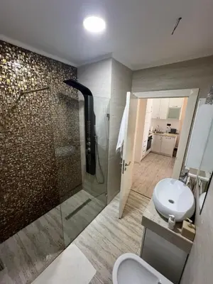 a bathroom with a shower and a toilet and a sink at Victoria Center Apartments in Budva