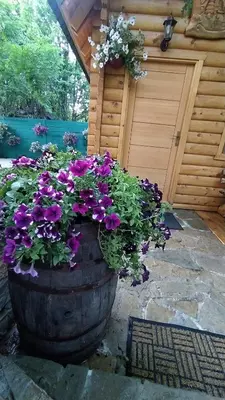 a barrel filled with flowers in front of a garage at Brvnara Fairy Tale in Cetinje