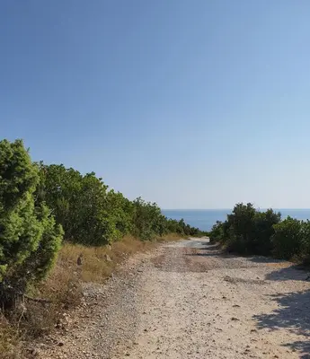 a dirt road with trees on the side of it at Peaceful Sea Residence in Bigovo