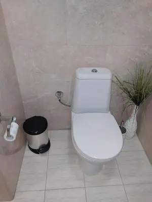 a white toilet in a bathroom with a plant at Bella Costa in Dobra Voda