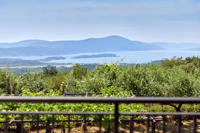a view of the ocean from a vineyard at Villa Forest & Blue in Kotor