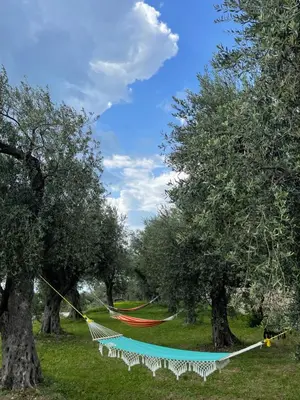 Gallery image of KAOM Lux in Dobra Voda