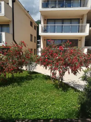 an apartment building with red trees in front of it at Blue Horizon Lux Apartment with Pool in Sveti Stefan