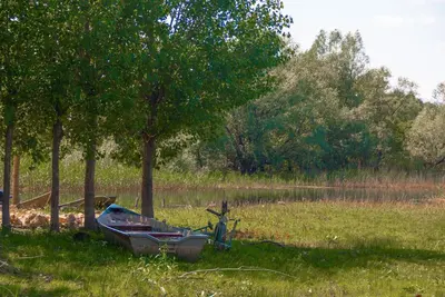 a boat sitting in the grass next to a lake at Pristan Apartments in Dodoši