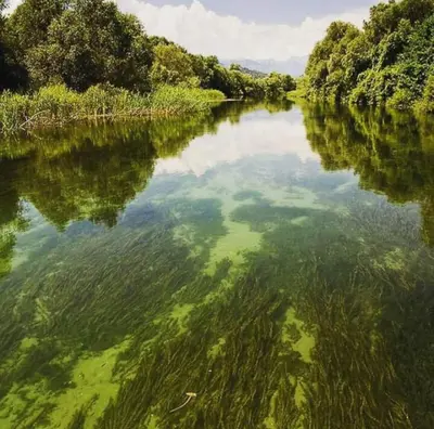 a body of water with trees in the background at Pristan Apartments in Dodoši