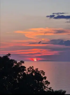a sunset over the water with a tree in the foreground at Apartman Kosta in Utjeha