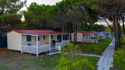 a row of mobile homes in a row at HILLS RESORT Beach, Bungalows and Bar - Velika Plaza Ulcinj in Ulcinj