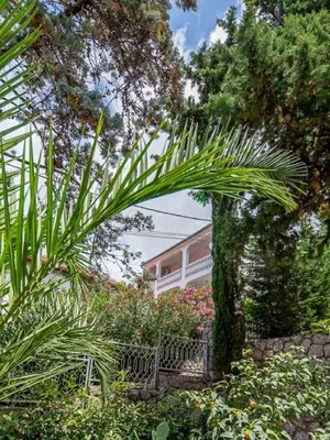 a palm tree in front of a house at Villa Yovan Seaview in Dobra Voda