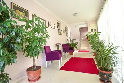 a hallway with plants and chairs and a red rug at Vila IDILA in Budva