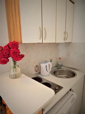 a kitchen counter with a sink and a vase of red roses at Vila Teodora in Sveti Stefan