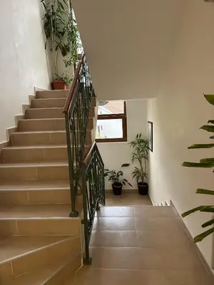a staircase with potted plants in a house at Apartments Krapina Lux in Budva