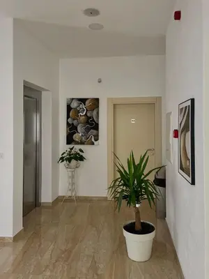 a hallway with a potted plant and paintings on the wall at Hotel Kaligrosh in Sutomore