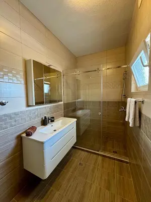 a bathroom with a sink and a shower at Apartments Seaview Estate Radovic in Kotor