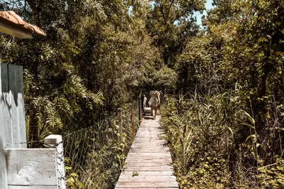 a person walking down a wooden path with trees at Sojenica Ivona in Ulcinj