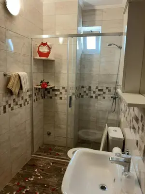a bathroom with a shower with a sink and a toilet at Andrej Apartments in Kotor