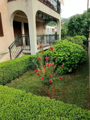 a garden with red flowers in front of a house at Andrej Apartments in Kotor