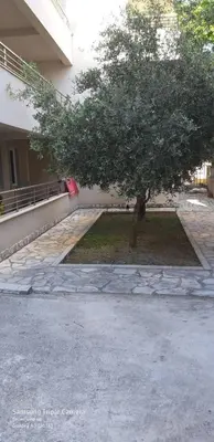a tree in front of a building with a sidewalk at BOK HOLIDAY HOME Petrovac in Petrovac na Moru