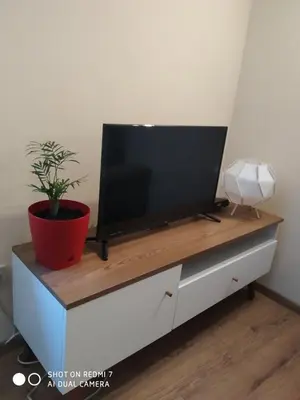 a tv on top of a dresser with a plant at Podgorica-Downtown in Podgorica