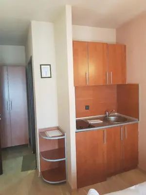 a kitchen with a sink and wooden cabinets at VilaElenaMarko in Budva