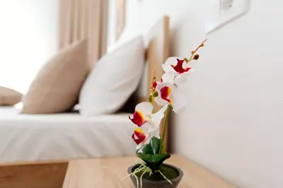 a vase with flowers on a table in a room at Apartments Hoxha in Ulcinj