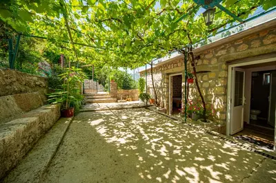 a courtyard of a house with a tree at Ethno house OSOBAK in Virpazar