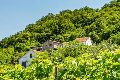 a house on the side of a hill at Ethno house OSOBAK in Virpazar