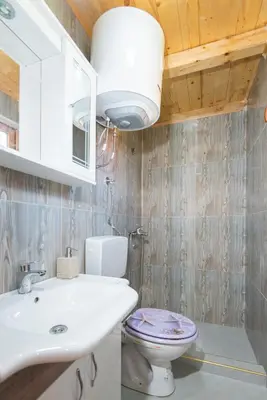 a bathroom with a toilet and a sink at Lovcen mountain cottages in Vratnica