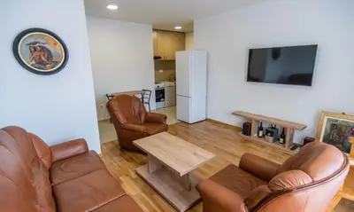 a living room with leather chairs and a table and a tv at Sunny Hill Suite Ljubovic in Podgorica