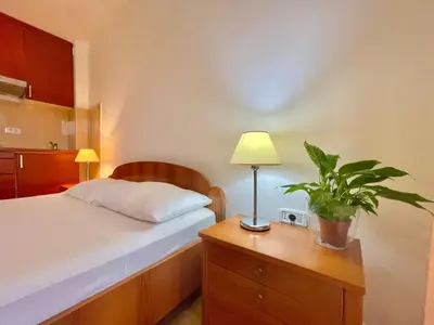 a bedroom with a bed and a plant on a nightstand at Apartments Boreta Becici in Budva