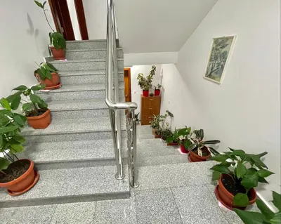 a staircase with potted plants in a hallway at Apartments Boreta Becici in Budva