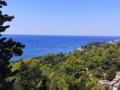 a view of the ocean from a hill with trees at Beqa Apartments in Ulcinj