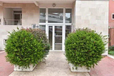 two green bushes in front of a building at Modern Studio 200m from the Beach in Budva