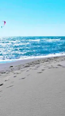 a person is flying a kite on the beach at Rajana Bungalow 2olive House in Ulcinj