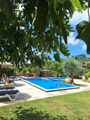 a swimming pool in a yard with a tree at Rustic Villas Barlovic in Ulcinj
