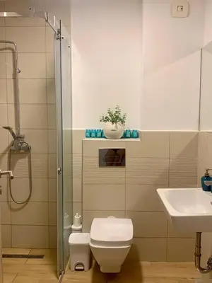 a bathroom with a shower and a toilet and a sink at BUDVA LUX in Budva